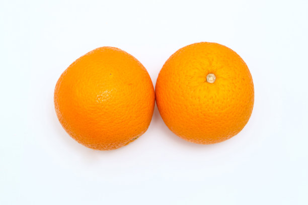 橙脐
