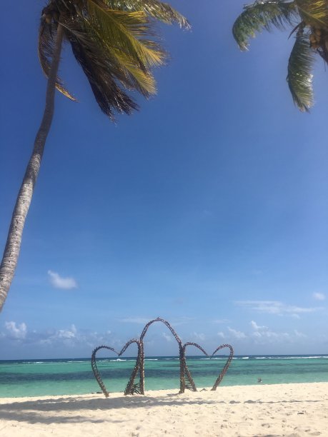 旅行度假海岛沙滩椰树海景