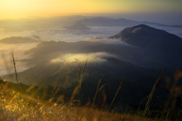 办公楼全景