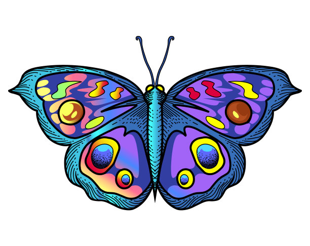 卡通蝴蝶logo
