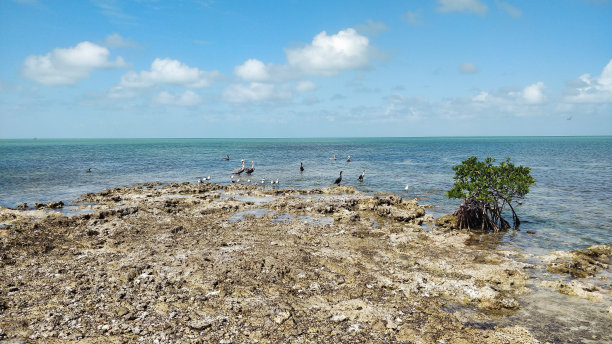 水生生物多样性背景