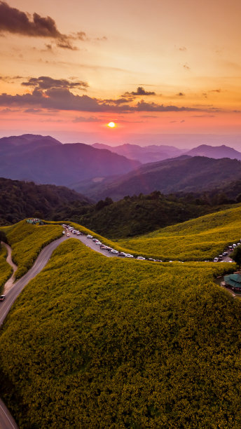 山和小黄花