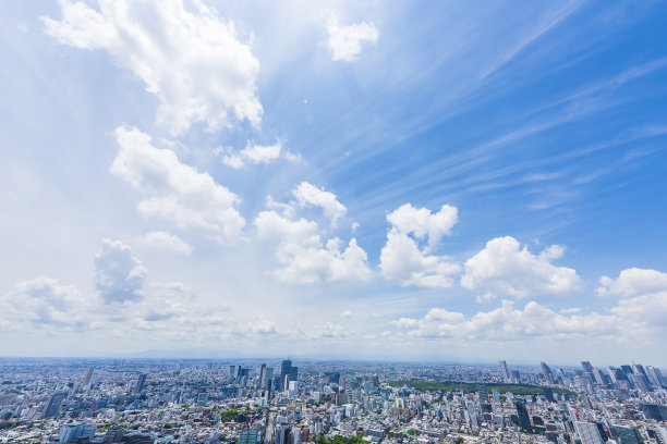 高楼大夏