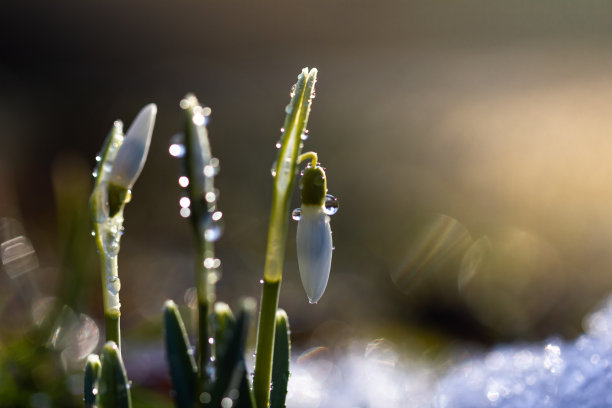 谷雨时节