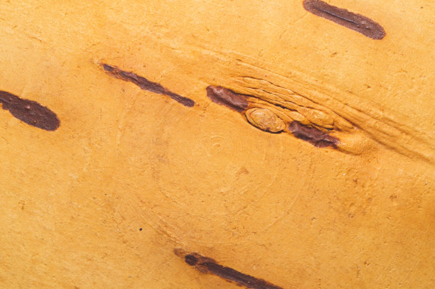 复古原木木纹背景