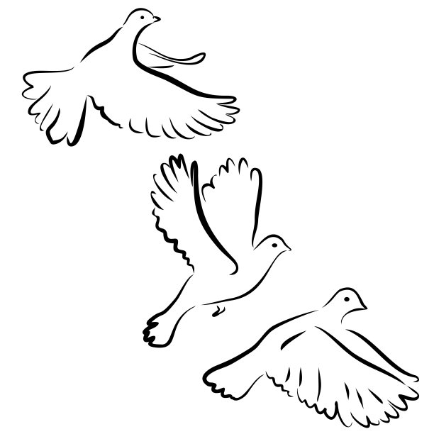 和平鸽logo