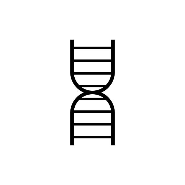 基因分子元素