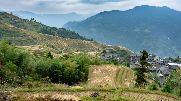 云和梯田全景图