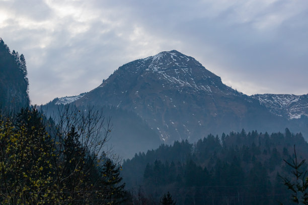 瑞士雪山草地