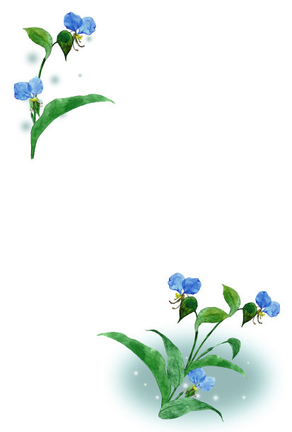 蓝色花朵边框