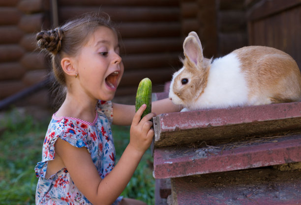 小孩与兔