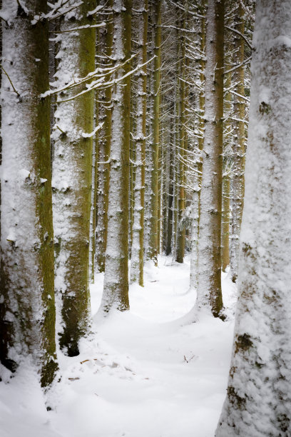 园林景观雪景素材