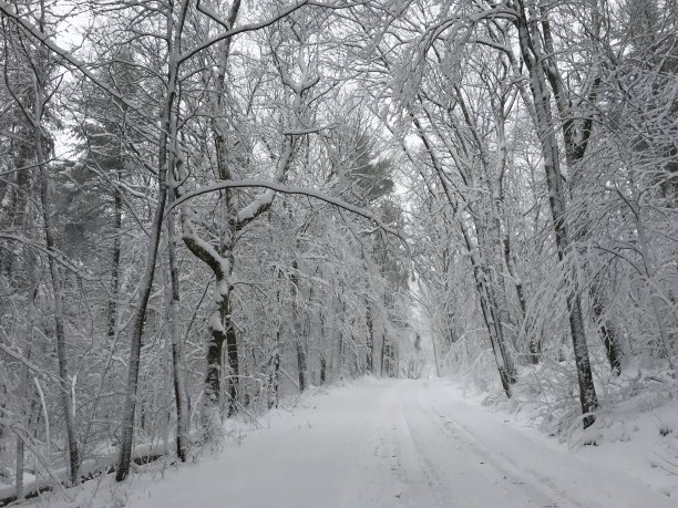 雪天路滑