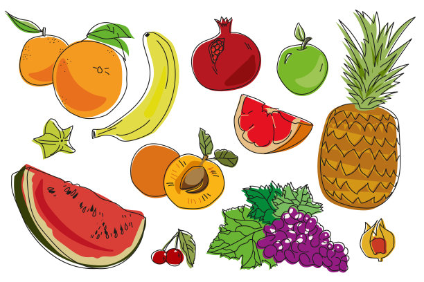 热带水果插画