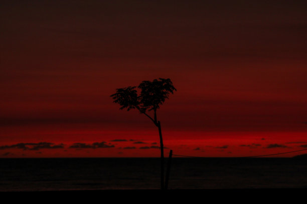 海滩夜景素材