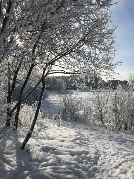 积雪寒冷小雪小寒大寒