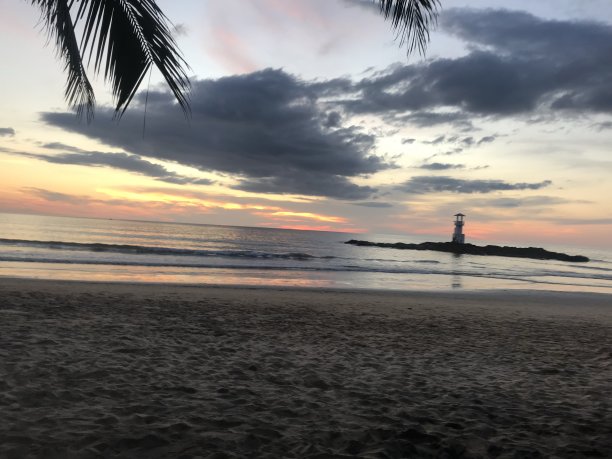 旅行度假海岛沙滩椰树海景