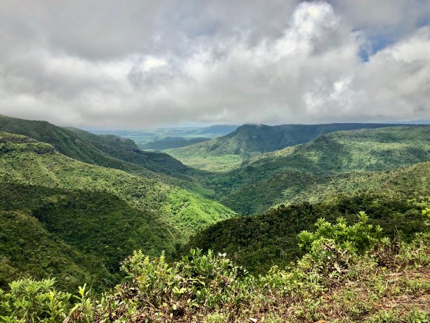 远山丛林美景