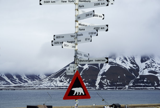 北极熊标志
