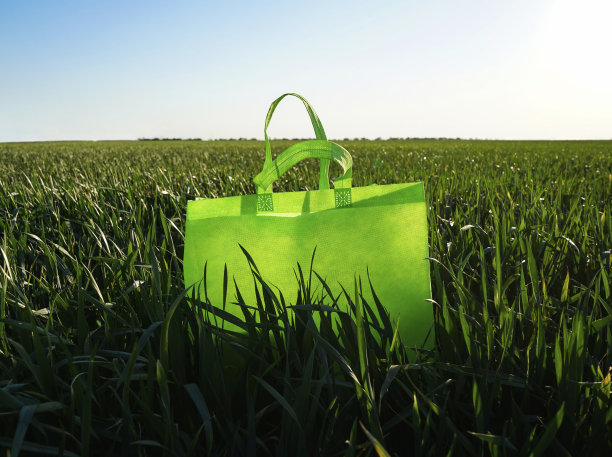绿色手提袋手提袋设计手提袋