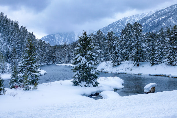 冰雪飞扬