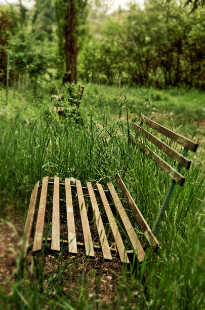 绿地长凳