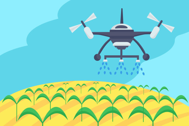 无人机在麦田喷洒农药