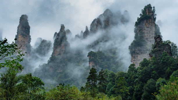 森林大自然美景4k