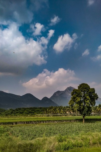 绿地蓝天户外美景