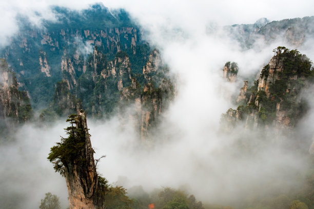 绿色森林大自然景色