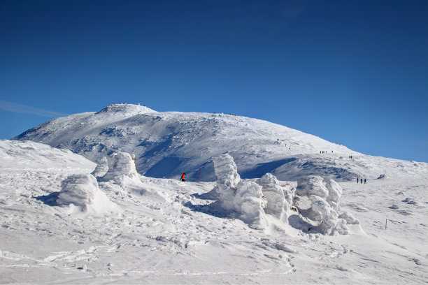 雪地雪景