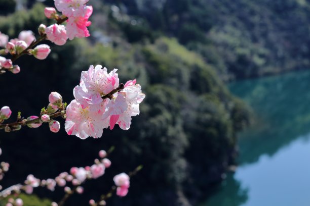 避暑山村