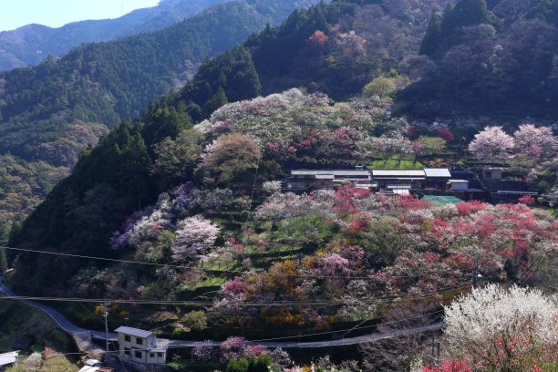 避暑山村