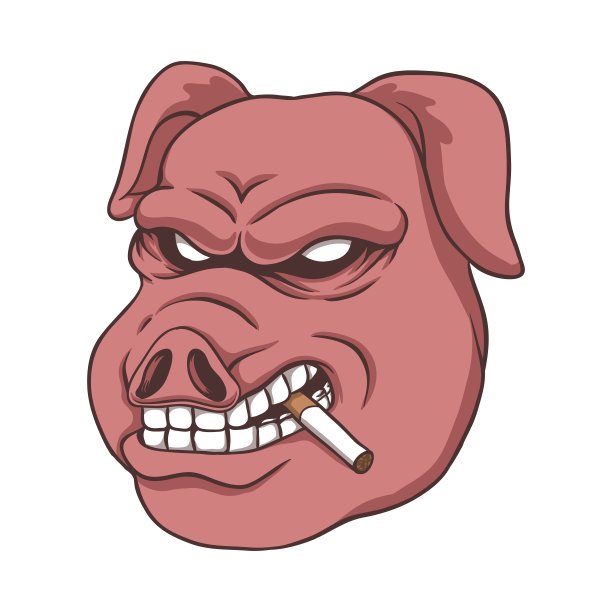 卡通小猪形象设计