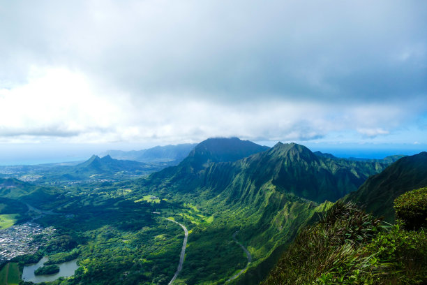 火山植物