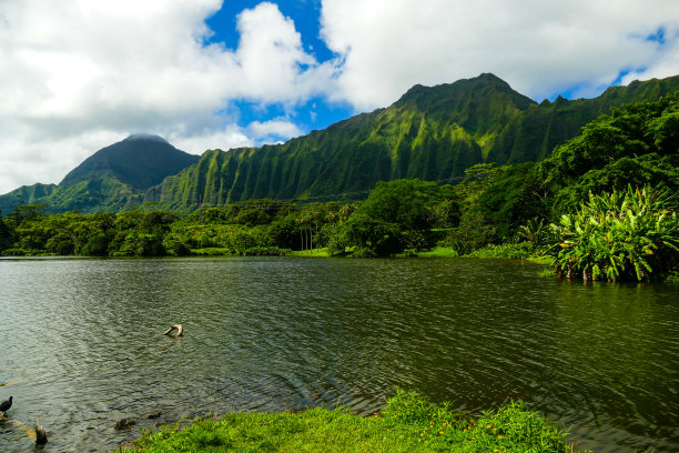 春天蓝天草地梦幻背景