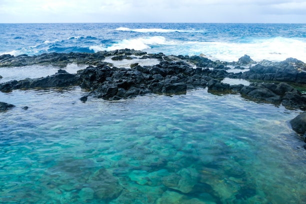 游泳池和海景