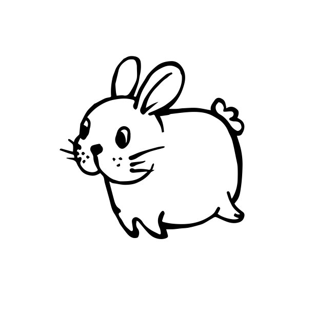 爱漂亮的小兔子