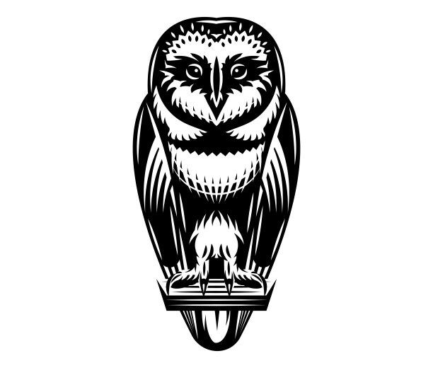 猫头鹰标志logo