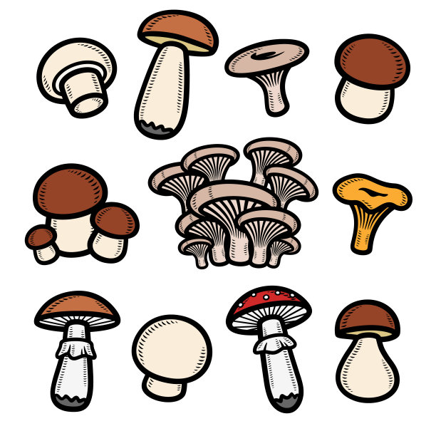 蘑菇logo设计