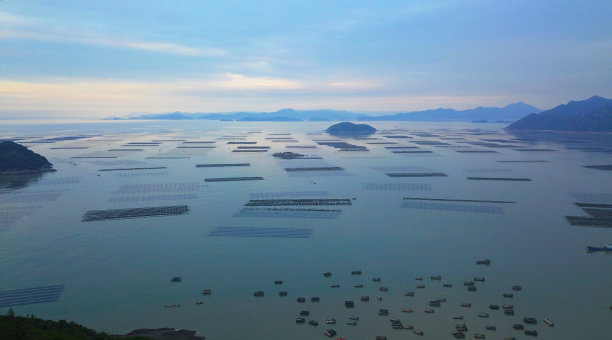 霞浦滩涂风光