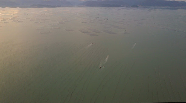 霞浦滩涂风光