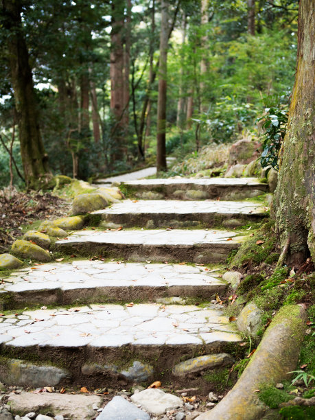 秋季森林景区木栈道