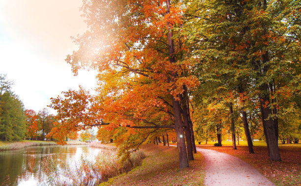 公园里的秋季景观