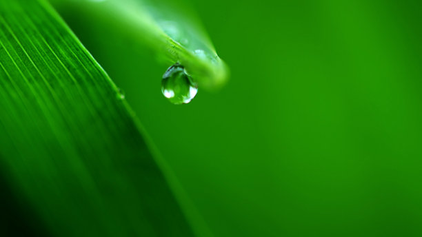 清明时节雨纷纷