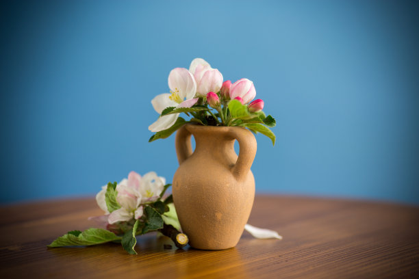 木桌上白花蓝花瓶