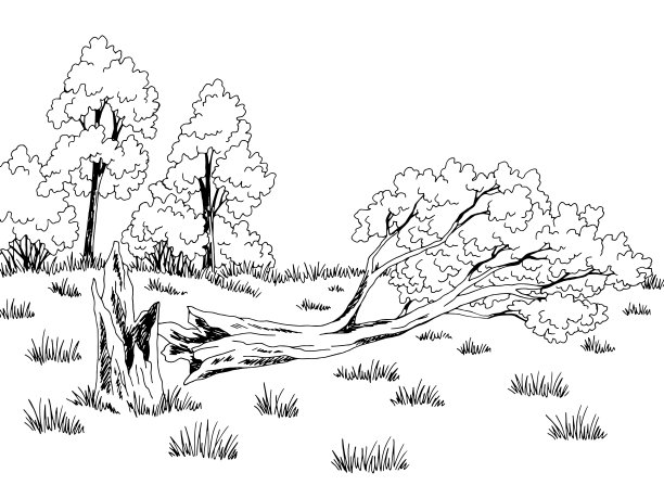 卡通树木 树桩