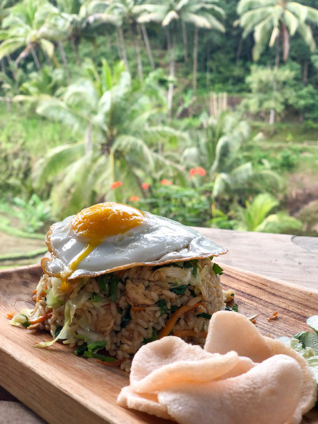 炒饭美食食材背景素材