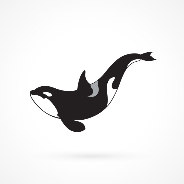巨鲸logo