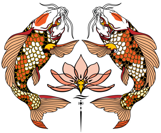 国风插画鲤鱼